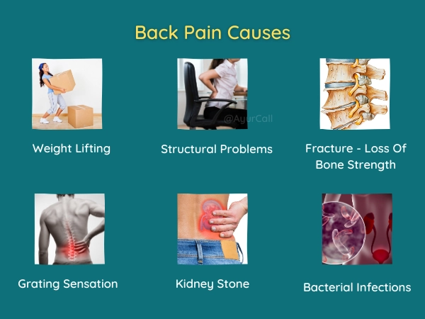 Causes of Back Pain