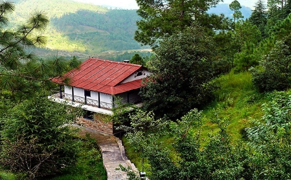 Ayurvaid Kalmatia Top View