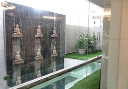 Dental Roots at Delhi