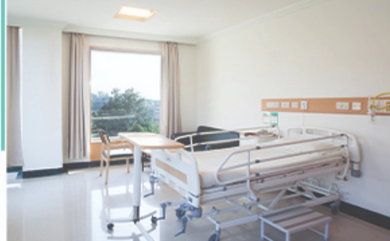 Inpatient