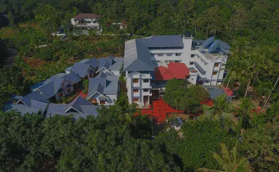 Rasayana Ayurveda Top View