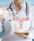 Uterus Transplant